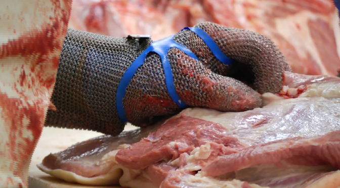 Ring Mesh Gloves Tensioner Made From Hygienic and Elastic Polymeric Material